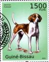 Colnect-3739-584-American-Foxhound-Canis-lupus-familiaris.jpg