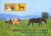 Colnect-639-535-Akhal-Teke-Horse-Equus-ferus-caballus.jpg
