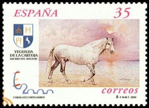 Colnect-1291-772-Carthusian-Horse-Equus-ferus-caballus.jpg