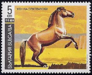 Colnect-2796-079-Przewalski--s-Horse-Equus-ferus-przewalskii.jpg