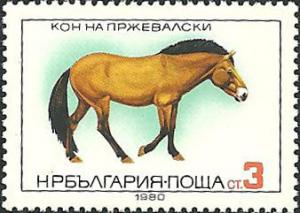 Colnect-2798-341-Przewalski--s-Horse-Equus-ferus-przewalskii.jpg