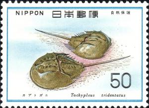 Colnect-4561-001-Japanese-Horseshoe-Crab-Tachypleus-tridentatus.jpg