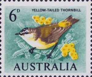 Colnect-5666-623-Yellow-rumped-Thornbill-Acanthiza-chrysorrhoa.jpg