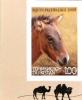 Colnect-1466-270-Przewalski-s-Horse-Equus-ferus-przewalskii.jpg