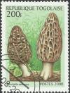 Colnect-1256-158-Sponge-mushroom-Morchella-deliciosa.jpg