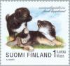Colnect-160-473-Finnish-Lapphund-Canis-lupus-familiaris.jpg