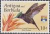 Colnect-1975-821-Antillean-Crested-Hummingbird-Orthorhyncus-cristatus.jpg