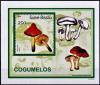 Colnect-5206-362-Hvgrocybe-conica.jpg