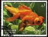 Colnect-2232-462-Goldfish-Carassius-auratus-var.jpg