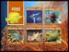 Colnect-6036-122-Fish-of-the-Coral-Reef.jpg