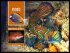 Colnect-6036-123-Fish-of-the-Coral-Reef.jpg