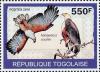 Colnect-6537-738-African-Fish-Eagle-Haliaeetus-vocifer.jpg