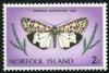 Skap-norfolk_is-01-bfly-moth.jpg-crop-193x130at207-9.jpg