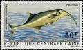 Colnect-1055-407-Elephantfish-Gnathonemus-curvirostris.jpg