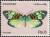 Colnect-2058-355-Moth-Erasmia-pulchella.jpg