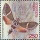 Colnect-720-574-Moth-Rethera-komarovi.jpg