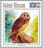 Colnect-3980-083-Marsh-Owl-Asio-capensis.jpg