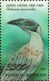 Colnect-1141-793-Helmeted-Friarbird-Philemon-buceroides.jpg