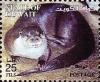 Colnect-2556-637-Eurasian-Otter-Lutra-lutra.jpg