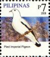 Colnect-2874-844-Pied-Imperial-Pigeon-Ducula-bicolor.jpg