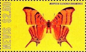 Colnect-3472-791-Marpesia-eleuchea-bahamensis.jpg