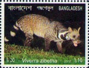 Colnect-3646-102-Large-Indian-Civet-Viverra-zibetha.jpg