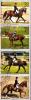 Colnect-5501-599-Equestrianism-and-horse-riding.jpg