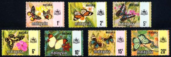 Skap-malaysia_60_bfly.jpg