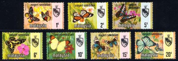 Skap-malaysia_63_bfly.jpg