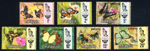 Skap-malaysia_66_bfly.jpg