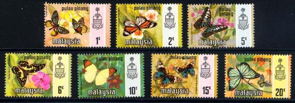 Skap-malaysia_69_bfly.jpg