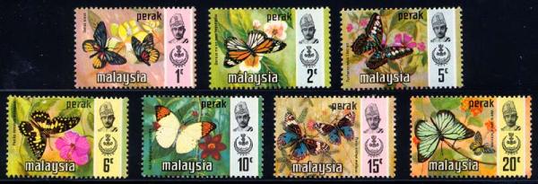 Skap-malaysia_72_bfly.jpg