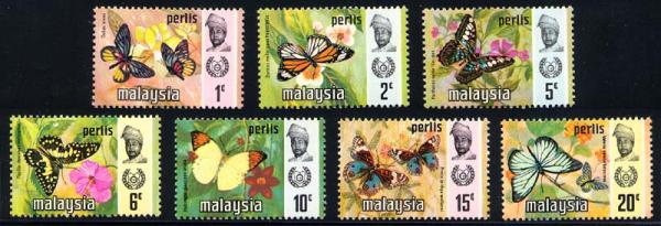 Skap-malaysia_75_bfly.jpg