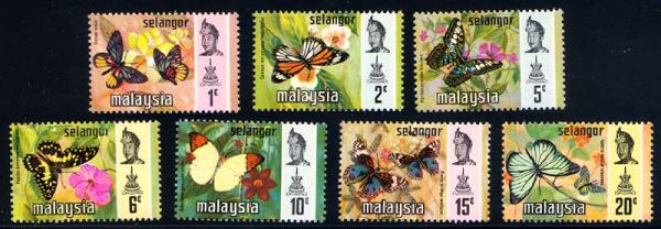 Skap-malaysia_84_bfly.jpg
