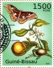 Colnect-3739-588-Silk-Moth-Rothschildia-aurota-Bitter-Orange-Citrus-auran.jpg