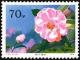 Colnect-3653-013-Hybrid-Camellias-from-the-Yunnan-Province.jpg