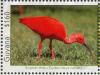Colnect-4634-639-Scarlet-Ibis----Eudocimus-ruber.jpg