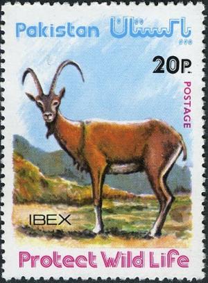 Colnect-2152-229-Ibex-Capra-ibex.jpg