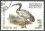 Colnect-844-440-African-Sacred-Ibis-Threskiornis-aethiopicus.jpg