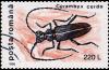 Colnect-3578-778-Greater-Capricorn-Beetle-Cerambyx-cerdo.jpg
