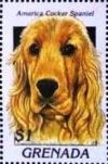 Colnect-4581-348-American-cocker-spaniel.jpg