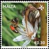Colnect-6239-124-Apiculture-in-Malta.jpg