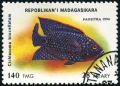 Colnect-4944-412-Jack-Dempsey-Cichlid-Cichlasoma-biocellatum.jpg