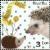 Colnect-7331-754-African-Dwarf-Hedgehog.jpg