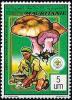 Colnect-2946-413-Picking-mushrooms.jpg