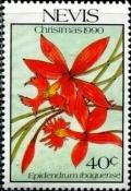 Colnect-3537-814-Epidendrum-ibaguense.jpg