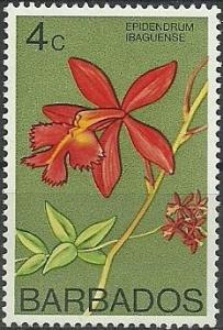 Colnect-1782-527-Epidendrum-ibaguense.jpg