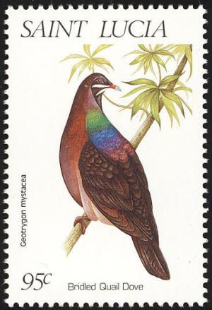 Colnect-1766-924-Bridled-Quail-Dove%C2%A0.jpg