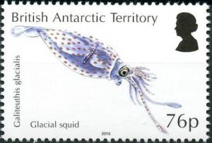 Colnect-3716-126-Glacial-Squid-Psychroteuthis-glacialis.jpg
