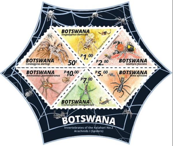 Colnect-6578-234-Spiders-of-Botswana.jpg